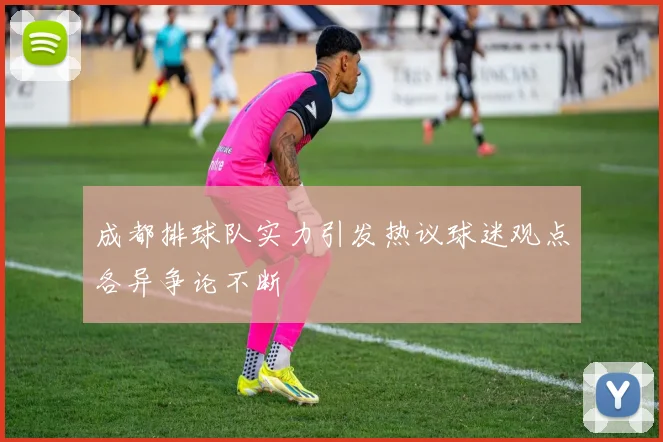 成都排球队实力引发热议球迷观点各异争论不断